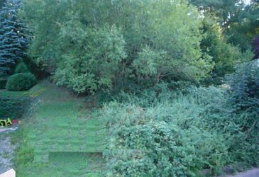 Teilansicht_2_des_Grundstücks