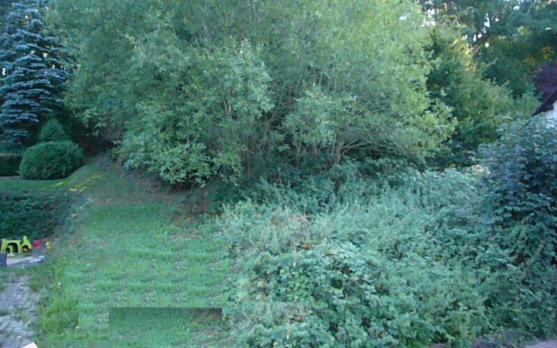 Teilansicht_2_des_Grundstücks